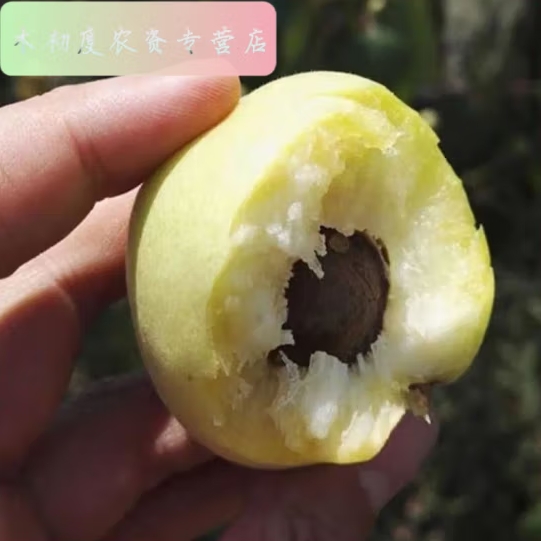 微信截图_20240420112002
