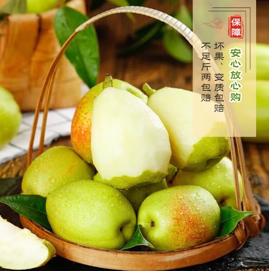 微信截图_20240420113108