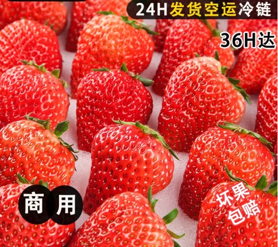 微信截图_20240420134025